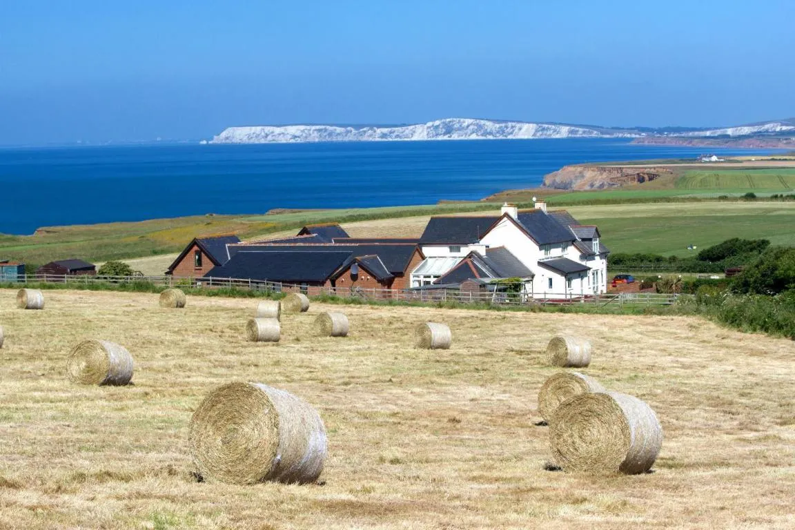 Image of Chale Bay Farm