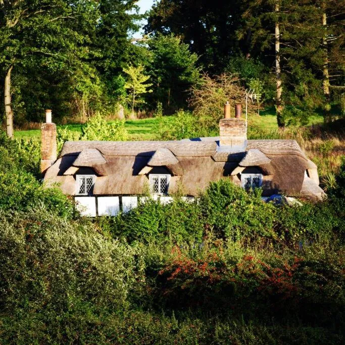 Image 5 of Chestnut Cottage, New Forest, Beaulieu Village