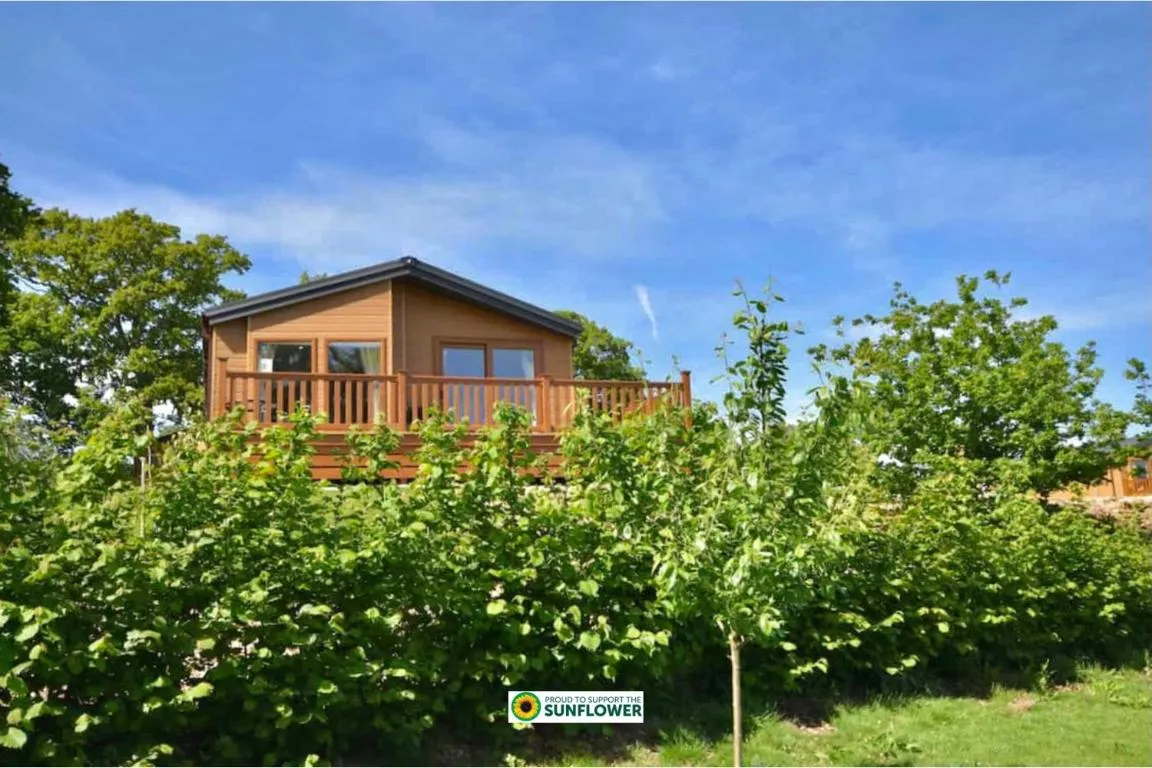 Image of E7 Roebeck Country park