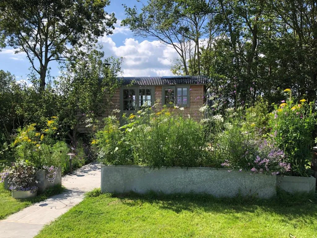 Image of Little Plovers Shepherd Hut