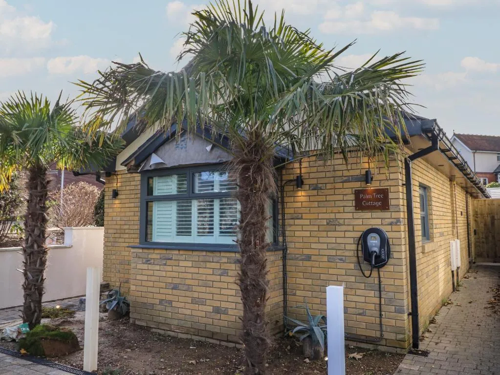 Image of Palm Tree Cottage