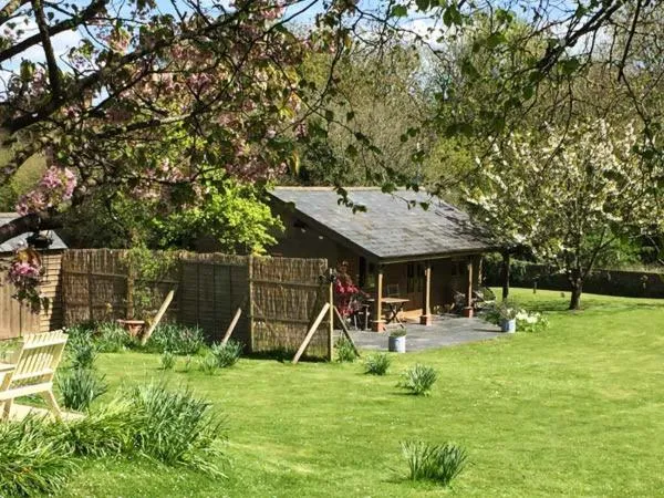 Image 5 of The Springs
