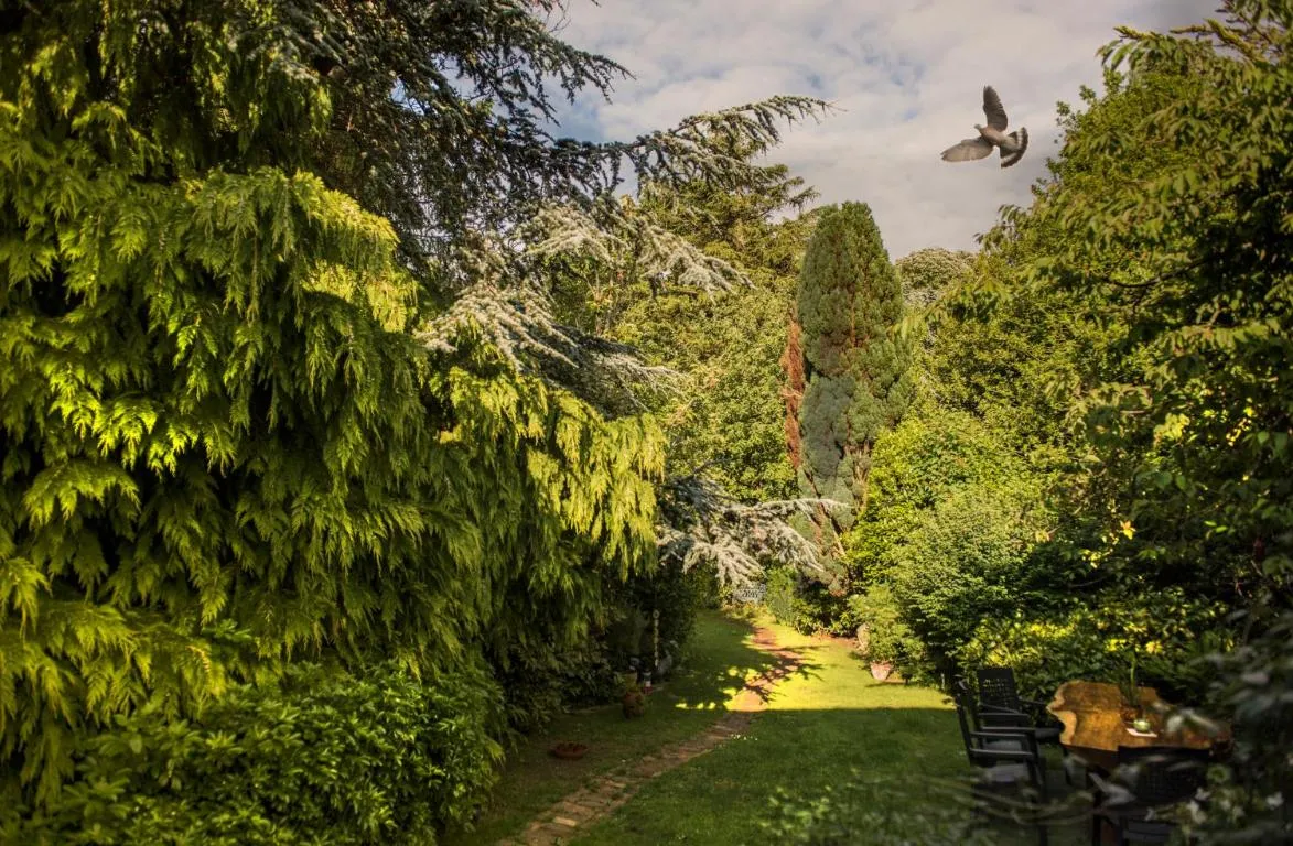 Image of Ward Avenue B&B