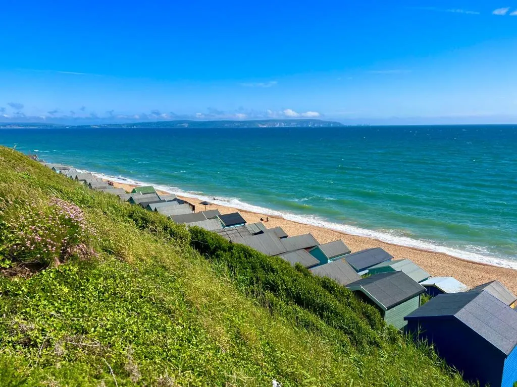 Image of forest beach bashley park