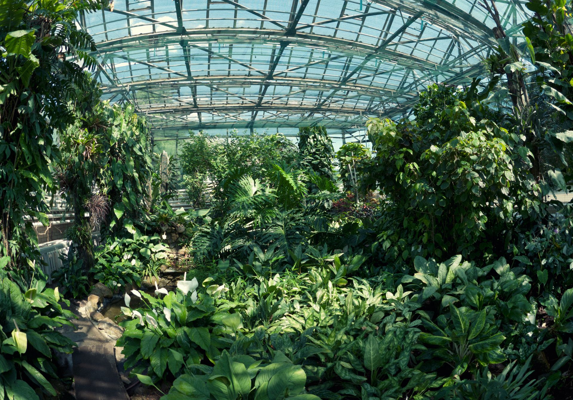 Ventnor Botanic Garden